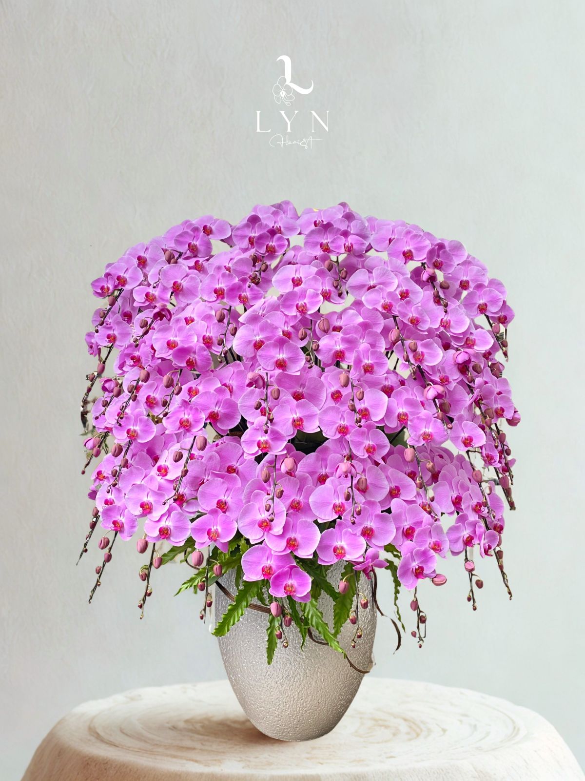 Chậu Hoa Lan Hồng 243